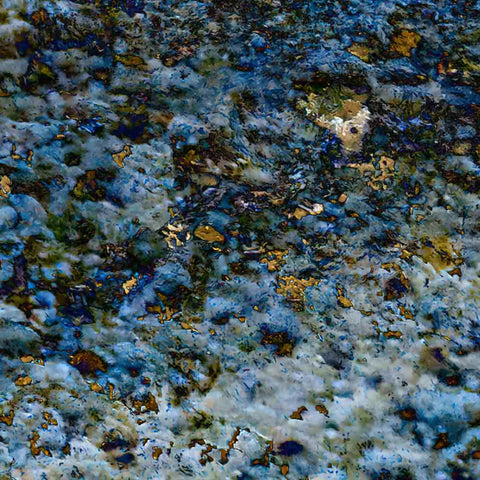 The Mariner’s Dream #1