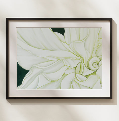 Geometry in Nature 4 - Madonna Roselily Print