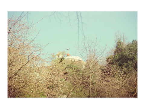 Greenwich Observatory In the Treetops