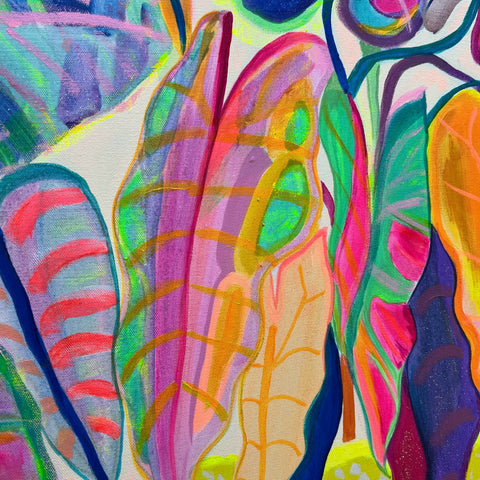 Alocasia Revelation