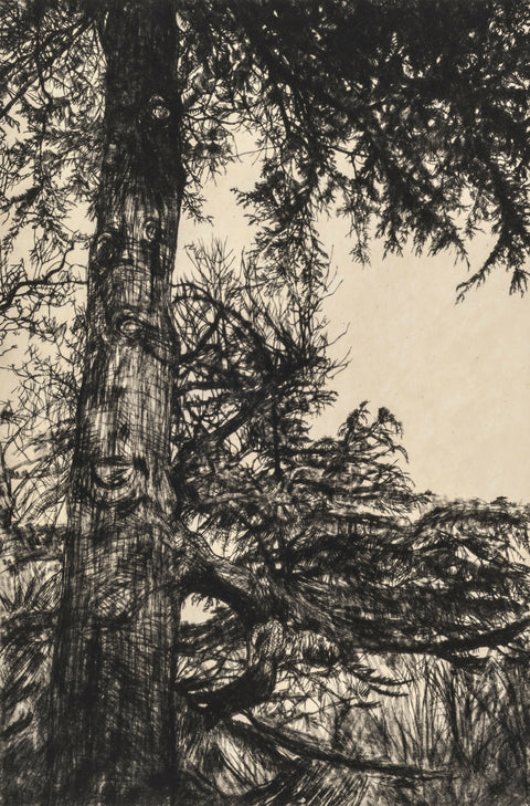 Greville Smyth Cedar Drypoint