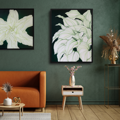 A Plantain Lily in Malibu, CA