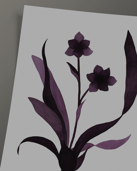 Pabstia jugosa, 2024