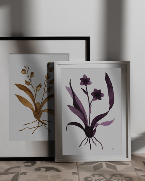 Pabstia jugosa, 2024