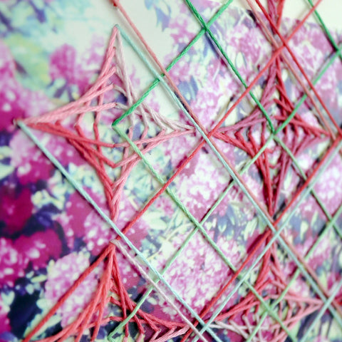 Hydrangea Slide Study