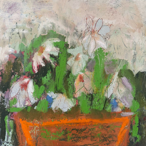 Potted Daisies