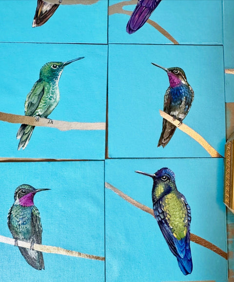 Hummingbird Yellow Back