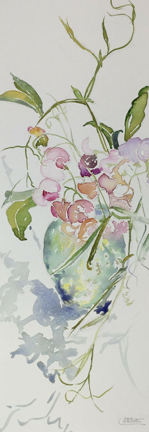 Summer - Sweetpea ‘Tickled Pink’