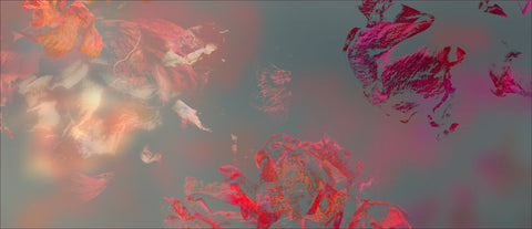 Garden of Secrets 01