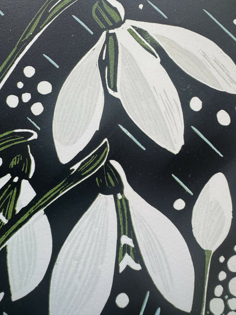 Snowdrops