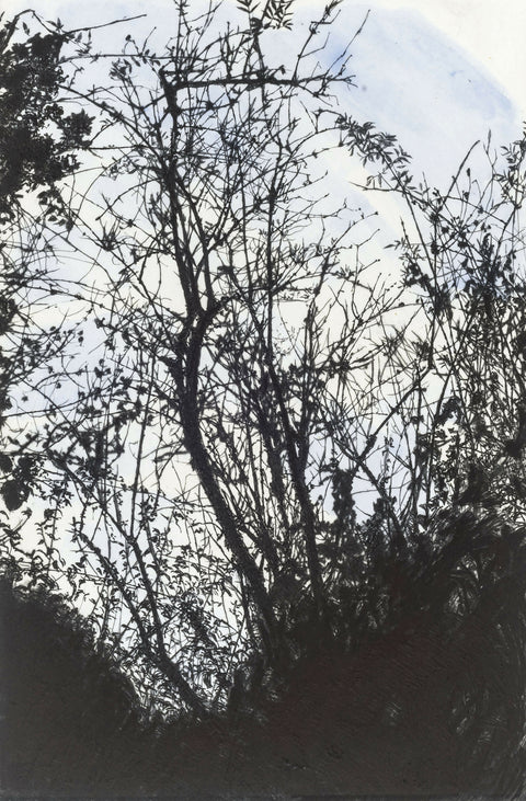 Summerhouse Plantation in Winter Drypoint Print