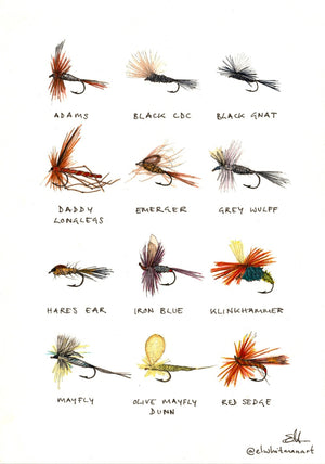 'Fishing Flies' Watercolour Print