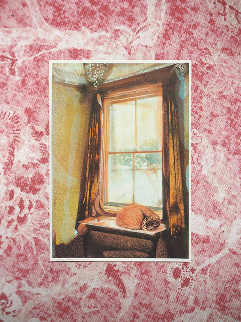 A World Cast in Frost