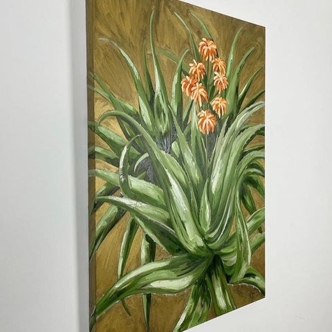 Torch Aloe on Bronze