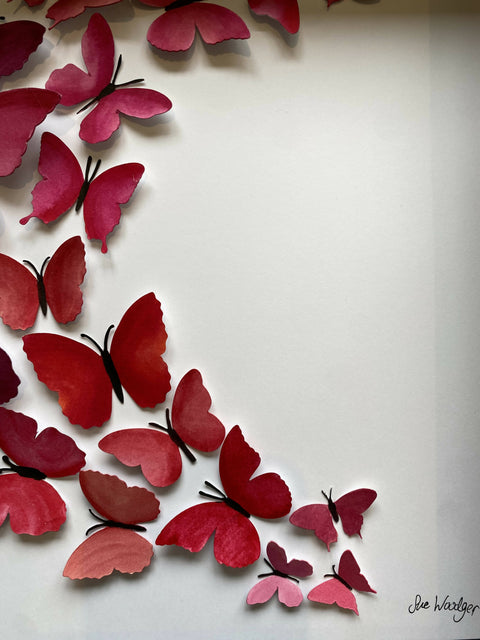 Butterfly Box - Sweeping pinks