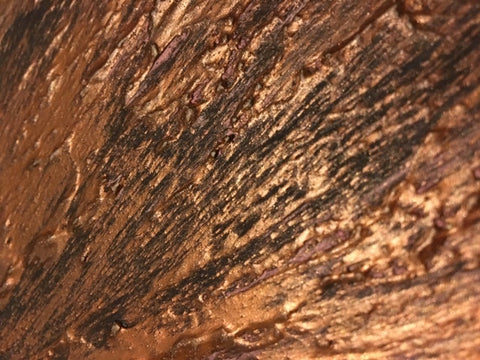 An Enlightened Heart