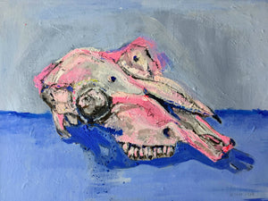 Skull Azul y Rosa
