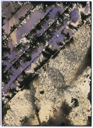 Abstract chemigram (photographic painting) #2